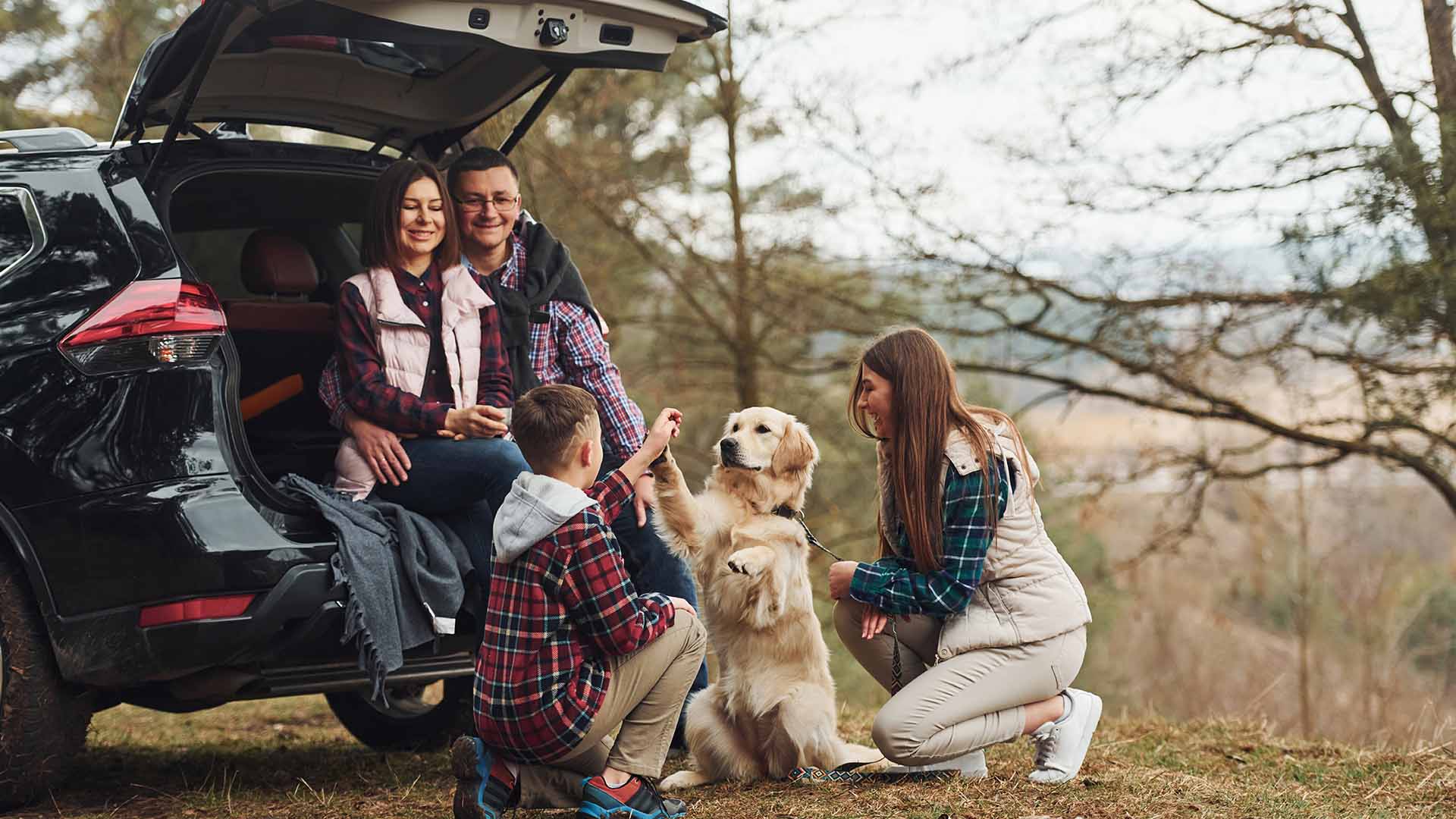 Family with a dog by back of black car with the boot open