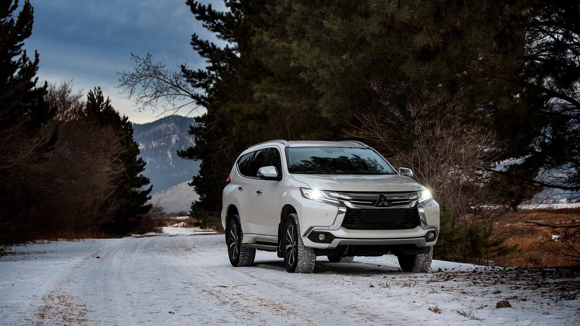 Mitsubishi