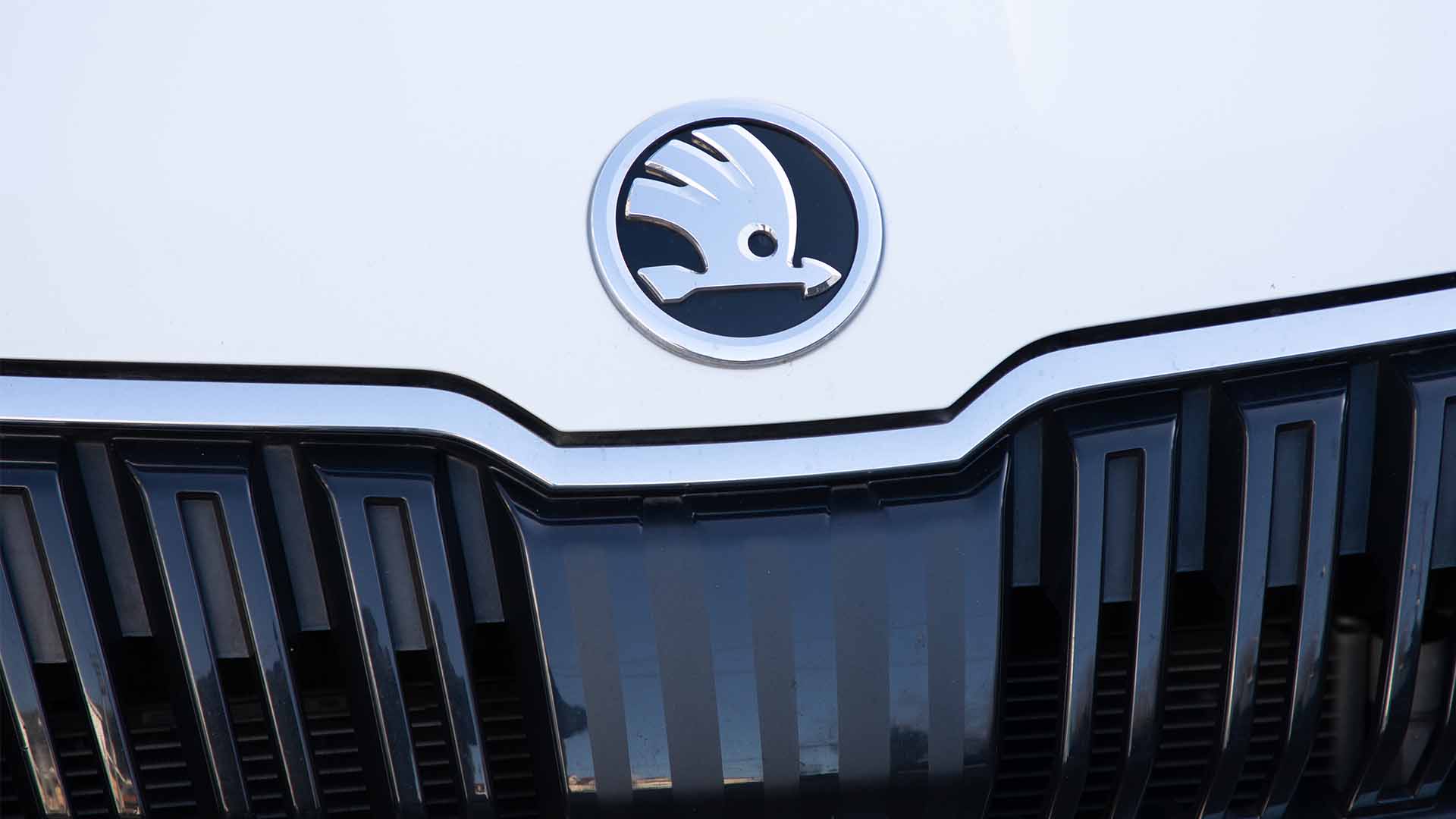 Badge on a white Skoda